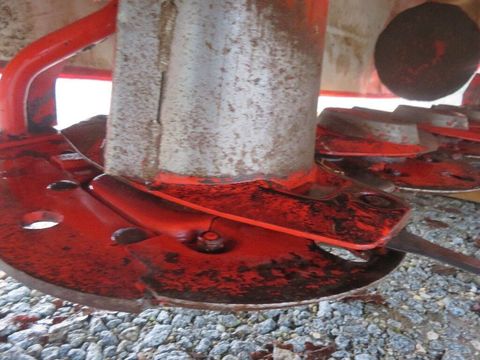 [7455-6518679-11.jpg]