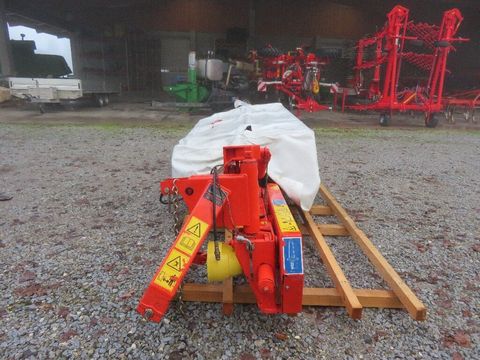 [7455-6518679-3.jpg]