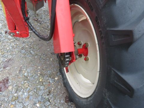 [7455-6526077-10.jpg]