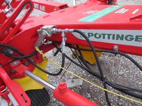 [7455-6538256-11.jpg]