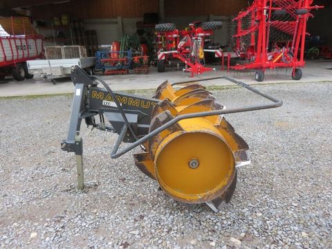 [7455-6724338-3.jpg]