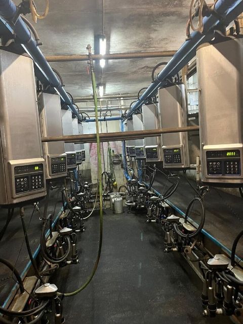 [3229-6663327-1.jpg]