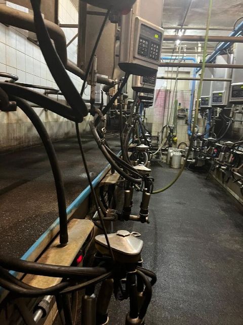 [3229-6663327-2.jpg]