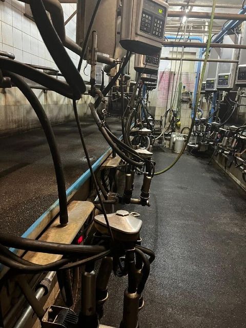 [3229-6663327-3.jpg]