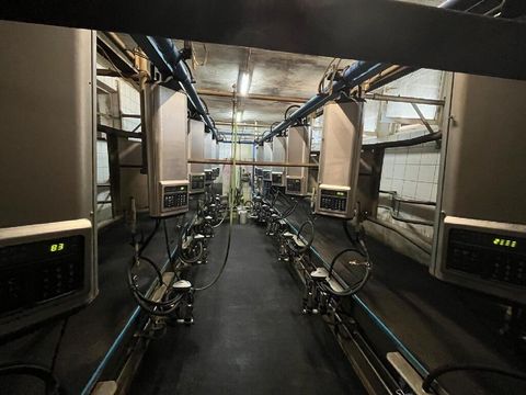 [3229-6663327-5.jpg]