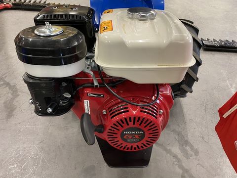 [3244-2730497-3.jpg]