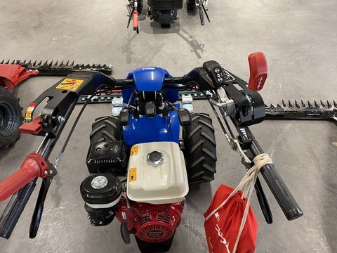 [3244-2730497-4.jpg]