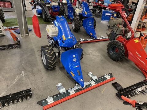 [3244-2730497-6.jpg]