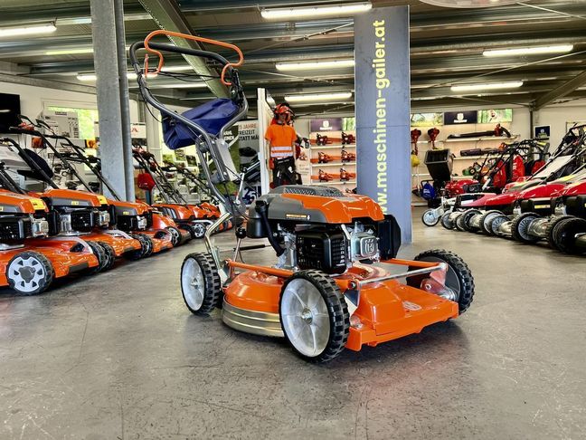 [3244-3667289-0_1.jpg]