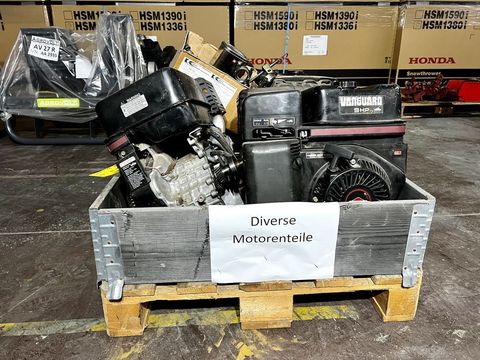 [3244-3912498-0.jpg]