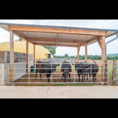 [3244-4282829-0.jpg]