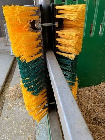 [3244-5152319-0_1.jpg]