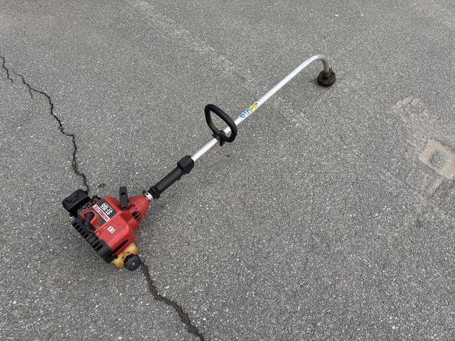 [3244-5586228-0_1.jpg]