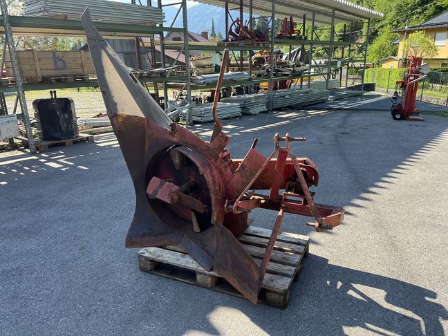 [3244-5667572-0_1.jpg]