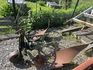 [3244-5766815-7.jpg]