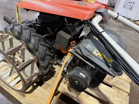 [3244-5981664-2.jpg]