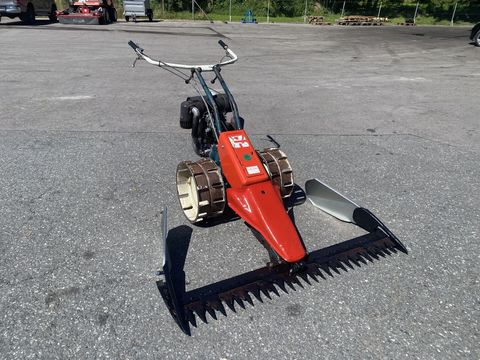 [3244-5993338-0.jpg]