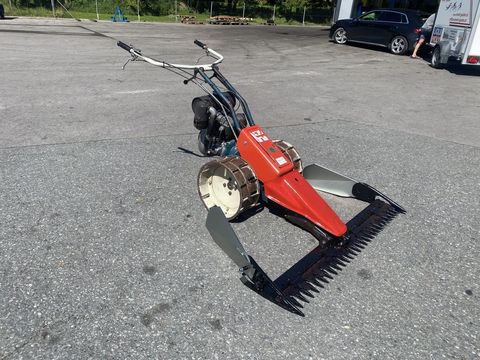 [3244-5993338-1.jpg]