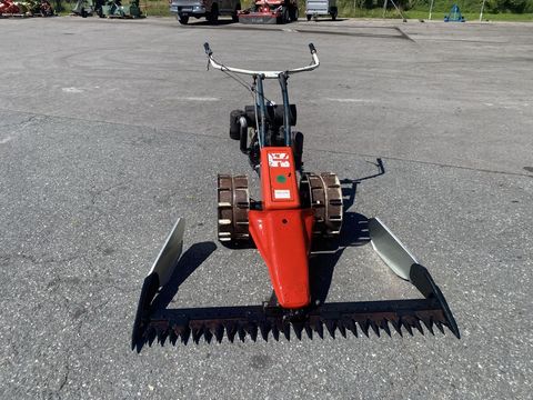 [3244-5993338-2.jpg]