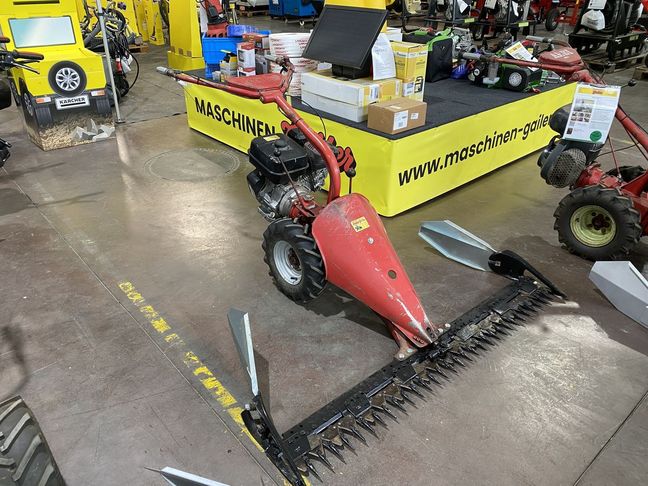 [3244-6052401-0_1.jpg]