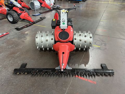 [3244-6104804-1.jpg]