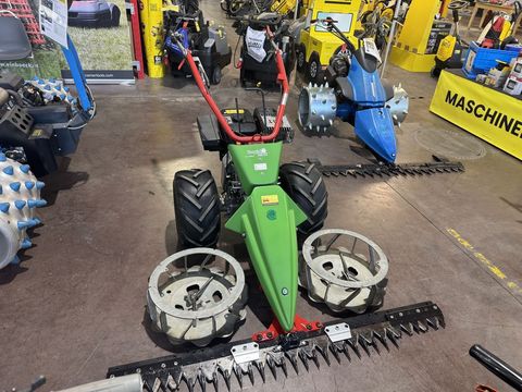 [3244-6300016-1.jpg]