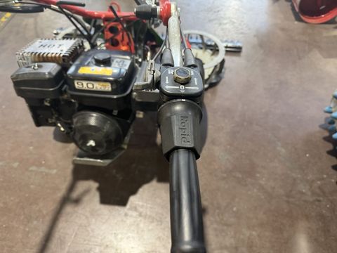 [3244-6300016-10.jpg]