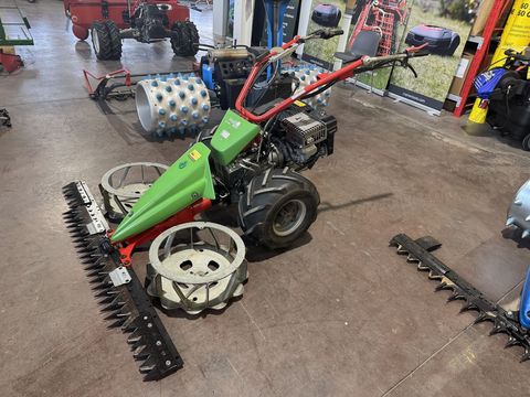 [3244-6300016-4.jpg]