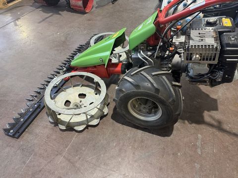 [3244-6300016-6.jpg]