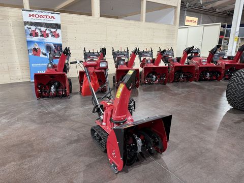 [3244-6338288-0.jpg]