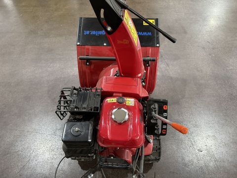 [3244-6338288-4.jpg]