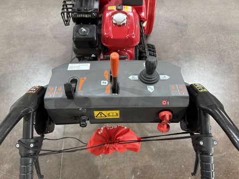 [3244-6338294-3.jpg]