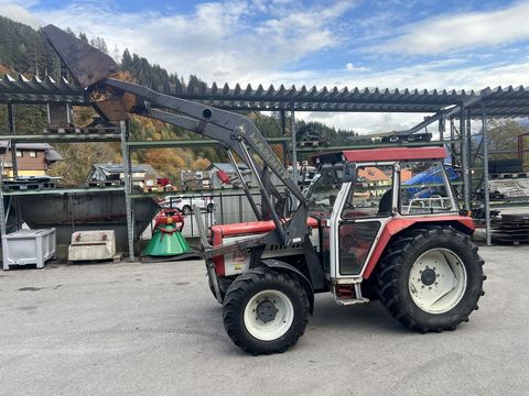 [3244-6376677-0.jpg]