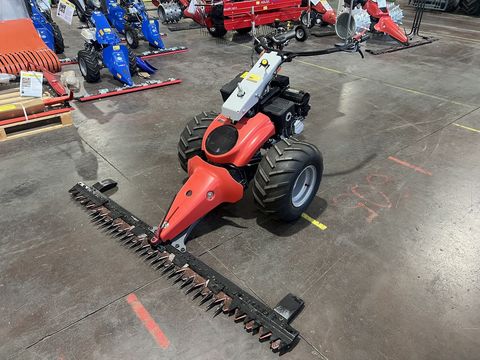 [3244-6484998-1.jpg]