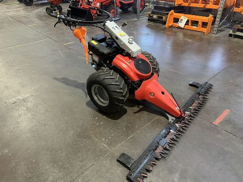 [3244-6484998-3.jpg]