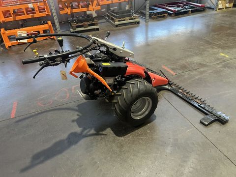 [3244-6484998-4.jpg]