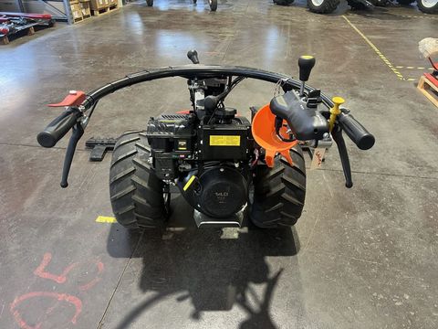 [3244-6484998-7.jpg]