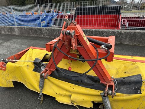 [3244-6503538-10.jpg]