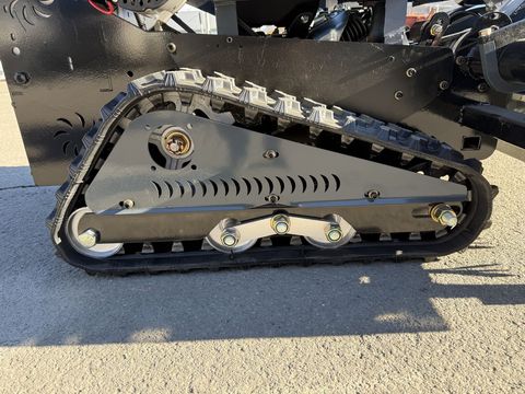 [3244-6655255-15.jpg]