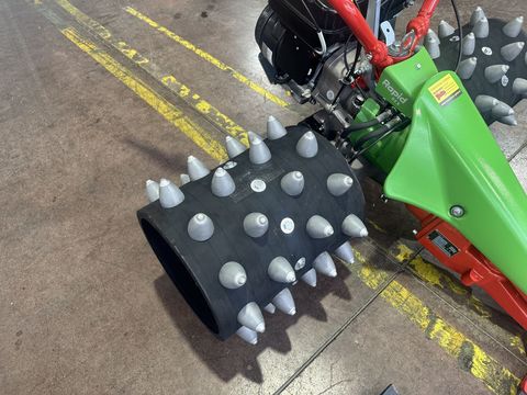 [3244-6679367-12.jpg]