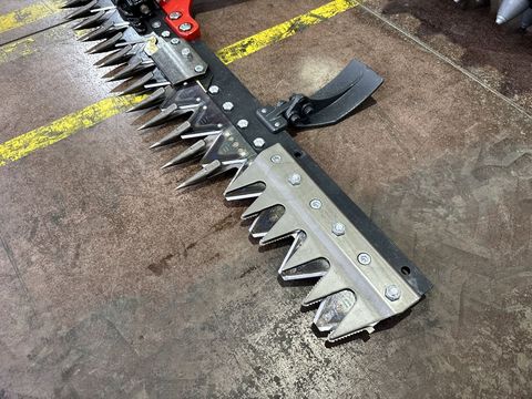 [3244-6679367-20.jpg]