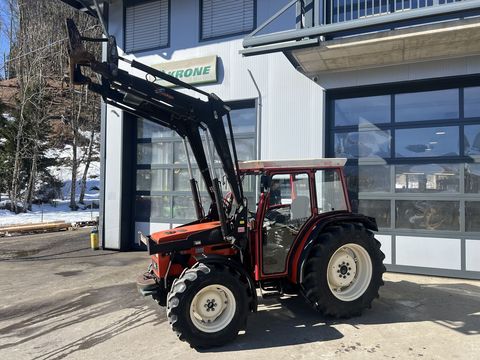 [3244-6753922-0.jpg]