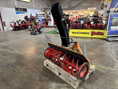 [3244-6857989-0.jpg]