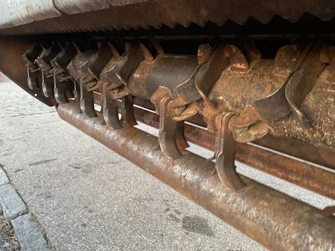 [3260-4301852-7.jpg]