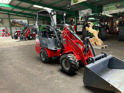 [3260-5159405-1.jpg]