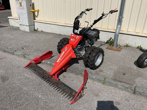 [3260-5618614-0.jpg]