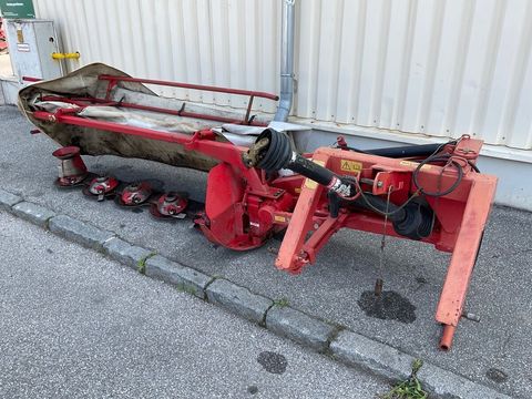 [3260-5785456-0.jpg]