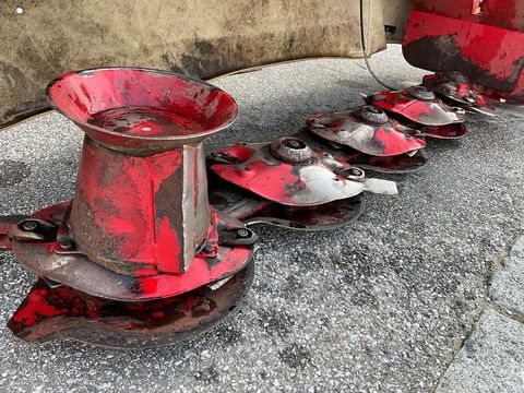 [3260-5785456-8.jpg]