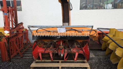 [3290-6492760-0.jpg]