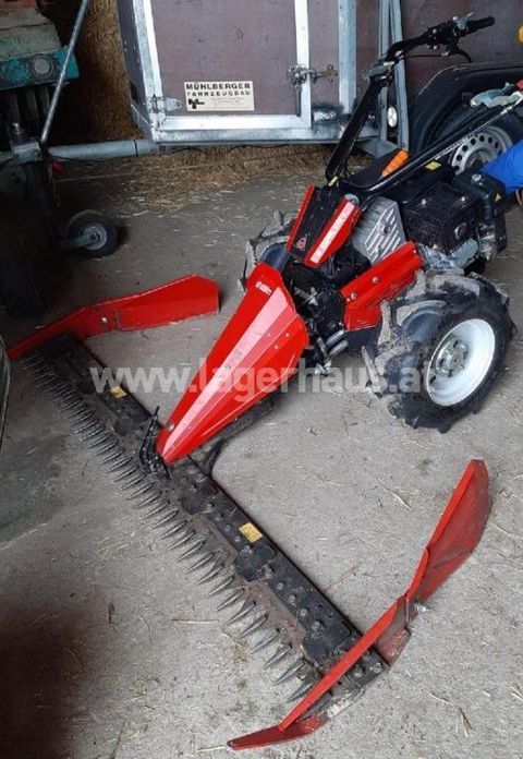 [3290-6495122-0.jpg]